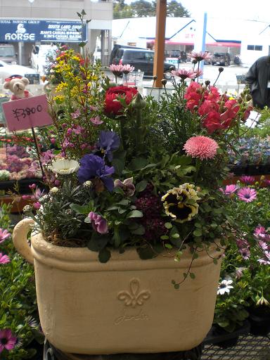 春の寄せ植え～♪