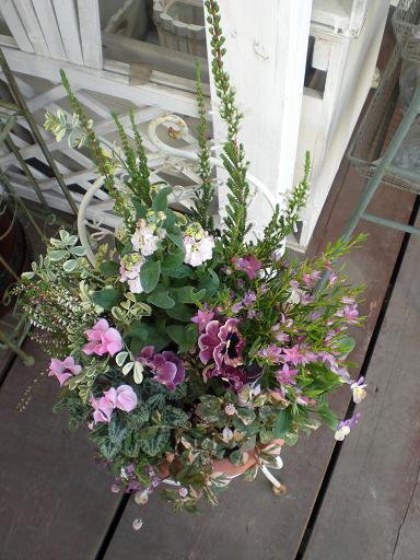 私らしい？寄せ植えです。