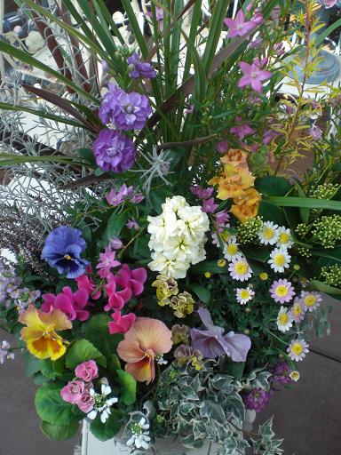 昨日の寄せ植え、再アップ～！