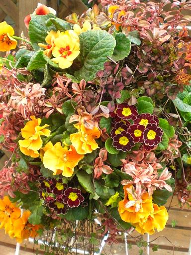 息、止めて植えてる～のに～
