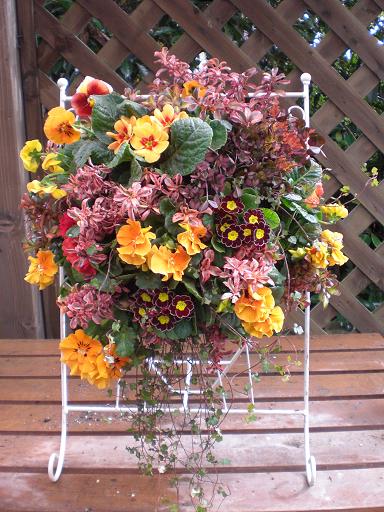 息、止めて植えてる～のに～