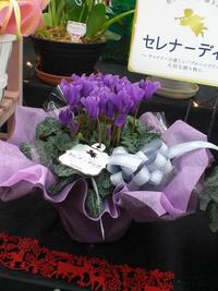 雨ですね～(T-T*)
