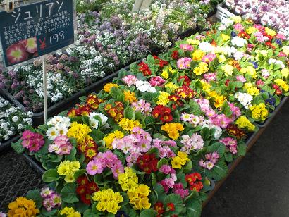 昨日は仕入れでした！　最新入荷状況