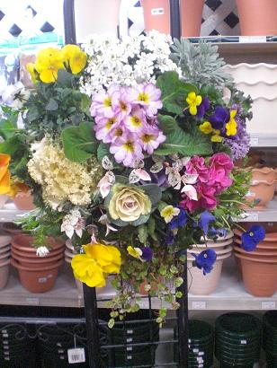 これはお得！！１２月１２日の寄せ植え講習会　見本