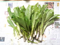 おまけ・・・