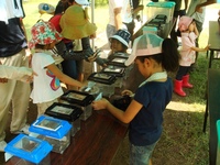 ８月１４日　夏森いきものフェスティバル