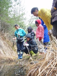 3月18日＆25日幼児のためのデイキャンプ