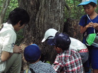 ８月９日　なつもり観察会