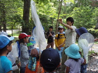 ８月９日　なつもり観察会