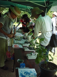 ８月１４日　夏森いきものフェスティバル