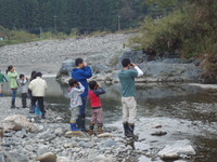 11月3日　ビワマスの観察と魚の標本作り