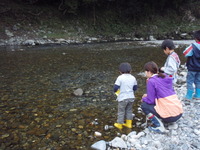 11月3日　ビワマスの観察と魚の標本作り