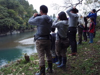 11月3日　ビワマスの観察と魚の標本作り