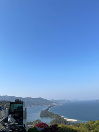 今度こそビューランド