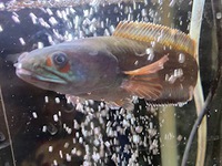 5月20日の記事