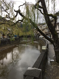 城崎温泉三昧です╰(*´︶`*)╯♡