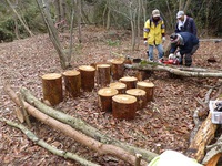 定例山作業などのおしらせ