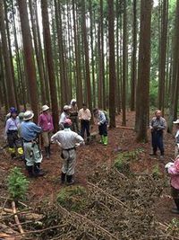 ６月　平日山作業