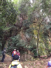 里山探索