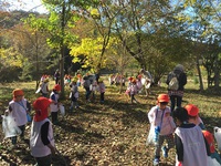 幼稚園児と里山散策
