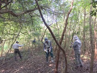 10月の定例山作業