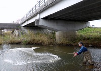家棟川生態（魚）調査