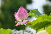 ブログを飛び出す勇気(*'▽')