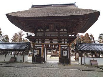 春の訪れを感じに沙沙貴神社へ✿