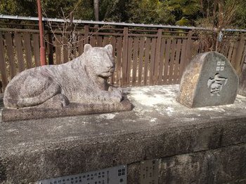 春の訪れを感じに沙沙貴神社へ✿