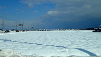 雪の畑