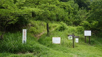 大野町の2山