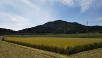 細々で少しずつですが日夏里館に変化？