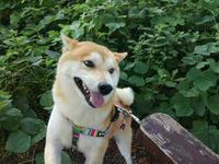 今朝の幸せ(^0^)/