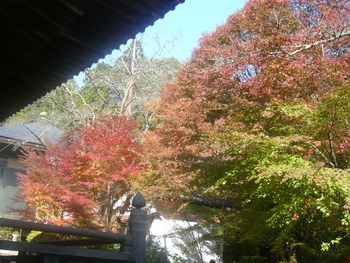 紅葉狩りに行きました(^-^)/