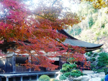 紅葉狩りに行きました(^-^)/