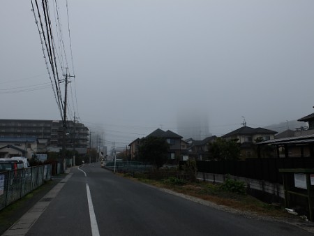 霧