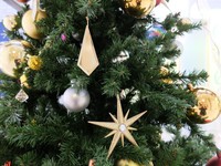 名古屋・栄で出会ったクリスマスツリー