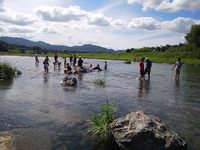夏のファームステイ番外編　手伝い