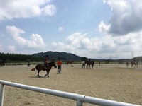 夏のファームステイ
