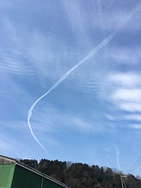 今日の写真