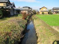 ホタル生息河川冬季自然環境調査を行いました