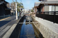 1/31ホタル生息河川自然環境調査