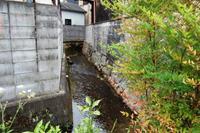 ホタル生息河川の自然環境調査