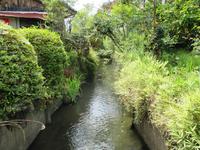 草津周辺河川・水路の自然環境調査