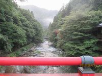 6年目の清滝川蛍観察