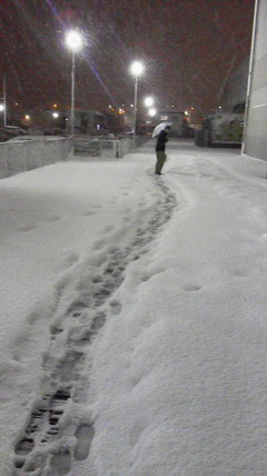 やはり、大雪です！