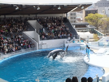 　京都水族館～百万遍手作り市へ！！