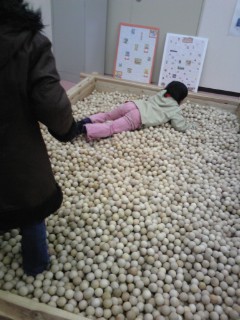 子どもミュージアム