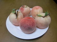 桃から産まれる物