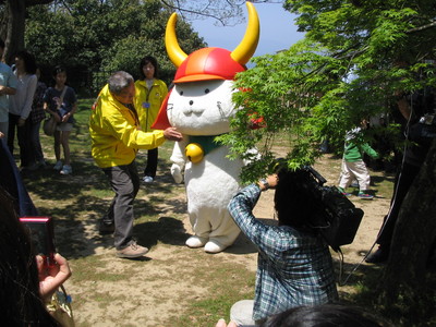 今日のひこにゃん②